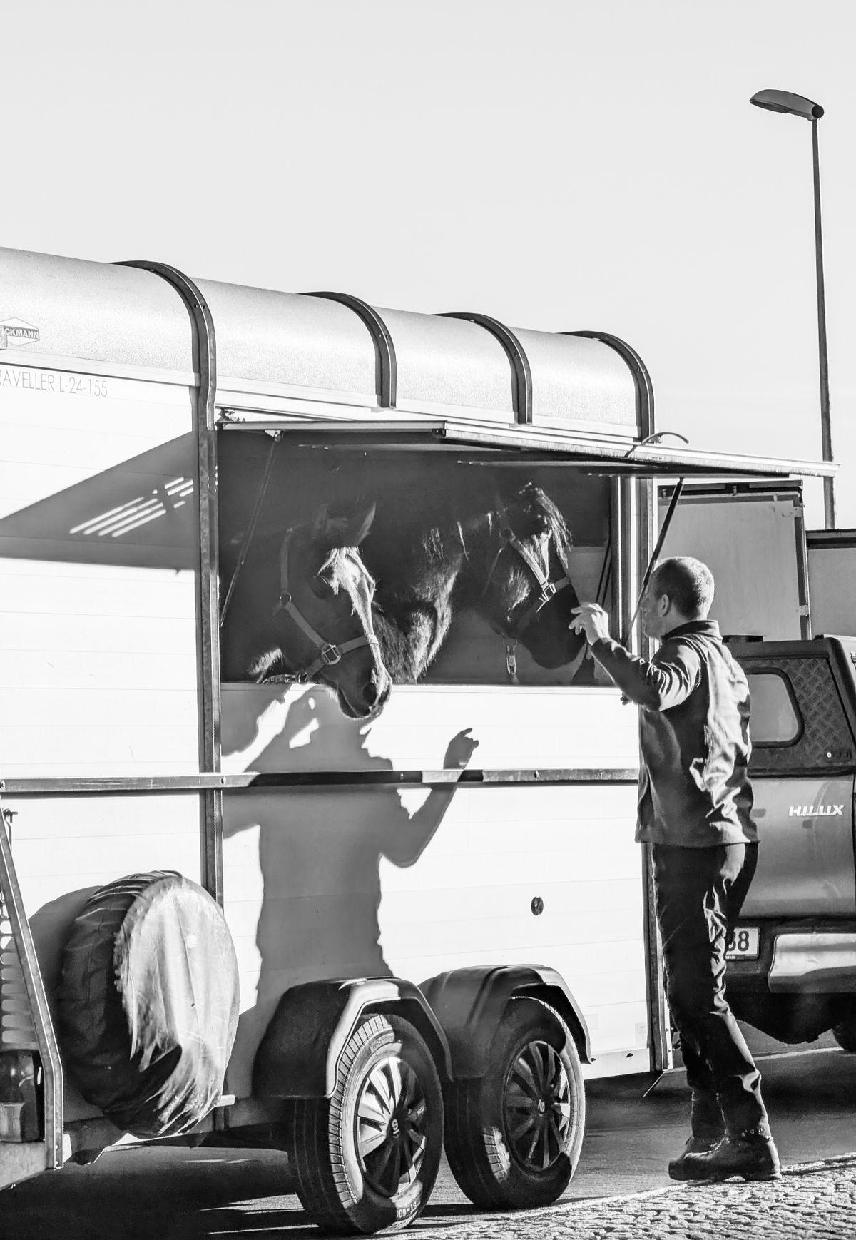 Transport Animalier / Zoo